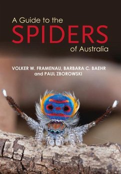 A Guide to Spiders of Australia - Zborowski, Paul