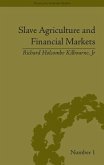 Slave Agriculture and Financial Markets in Antebellum America