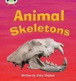 Bug Club Phonics - Phase 5 Unit 17: Animal Skeletons Bug Club Phonics - Phase 5 Unit 17: Animal Skeletons