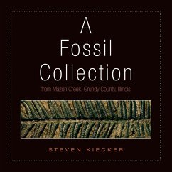 A Fossil Collection - Kiecker, Steven A Fossil Collection - Kiecker, Steven
