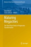 Maturing Megacities (eBook, PDF)