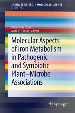 Molecular Aspects of Iron Metabolism in Pathogenic and Symbiotic Plant-Microbe Associations (eBook, PDF)