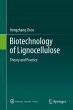 Biotechnology of Lignocellulose (eBook,... - Bild 1