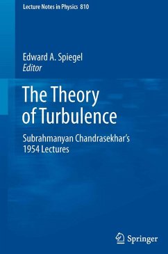 The Theory of Turbulence (eBook, PDF)