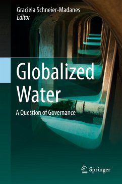 Globalized Water (eBook, PDF)