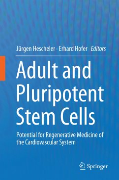 Adult and Pluripotent Stem Cells (eBook, PDF)