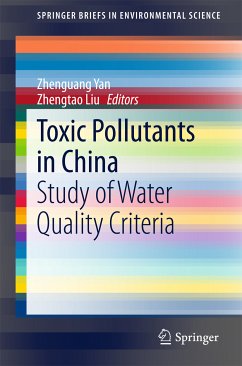 Toxic Pollutants in China (eBook, PDF)