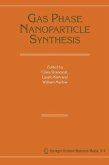 Gas Phase Nanoparticle Synthesis (eBook, PDF)