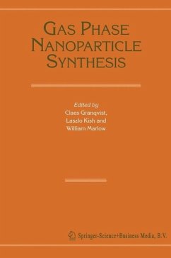 Gas Phase Nanoparticle Synthesis (eBook, PDF)