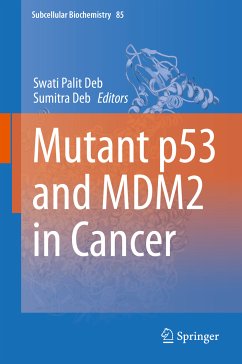 Mutant p53 and MDM2 in Cancer (eBook, PDF)