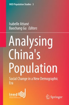 Analysing China's Population (eBook, PDF)