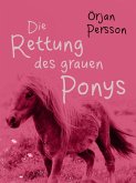 Die Rettung des grauen Ponys (eBook, ePUB)
