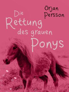 Die Rettung des grauen Ponys (eBook, ePUB) - Persson, Örjan