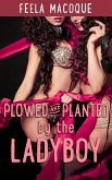 Plowed and Planted by the Ladyboy (eBook, ePUB) Plowed and Planted by the Ladyboy (eBook, ePUB)