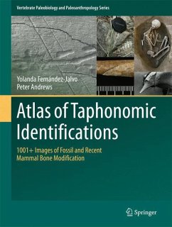 Atlas of Taphonomic Identifications - Fernandez-Jalvo, Yolanda;Andrews, Peter