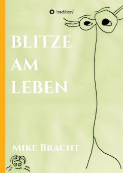 Blitze am Leben - Bracht, Mike