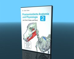 Praxisorientierte Anatomie und Physiologie von Hund, Katze und Pferd. Tl.2, 1 DVD