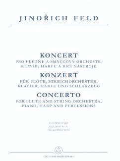 Cover Konzert für Flöte und Orchester für Flöte und Klavier