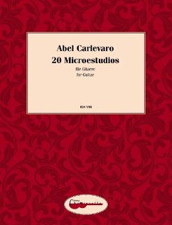 20 Microestudios