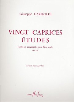 Cover 20 caprices etudes faciles et progressifs op.333 pour flute