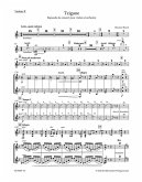 Tzigane für Violine und Orchester Violine 2