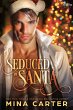 Seduced by Santa (Paranormal Protection... - Bild 1
