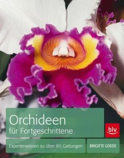 Orchideen für Fortgeschrittene (Mängelexemplar) - Goede, Brigitte