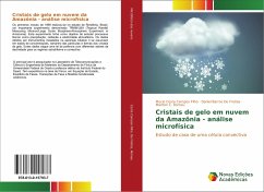 Cristais de gelo em nuvem da Amazônia - análise microfísica - Costa Campos Filho, Mucio;De Freitas, Daniel Barros;Romeu, Mairton C.