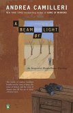 A Beam of Light (eBook, ePUB)