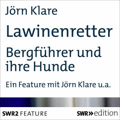 Lawinenretter (MP3-Download) - Klare, Jörn