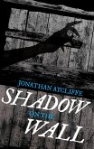 Shadow On The Wall (eBook, ePUB)