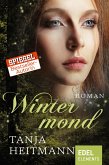 Wintermond / Dämonen Bd.2 (eBook, ePUB)