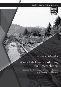 Wandel als Herausforderung für Unternehmen: Strategische Ansätze zur Abwehr von Risiken und Nutzung von Chancen - Schwabe, Michael