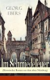 Im Schmiedefeuer (Historischer Roman aus dem alten Nürnberg) (eBook, ePUB)