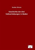 Geschichte der drei Volkserhebungen in Baden