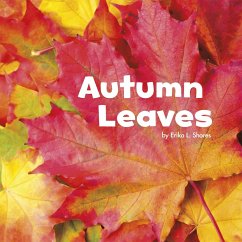 Cover Autumn Leaves (eBook, PDF)