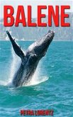 Balene (eBook, ePUB)