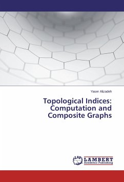 Topological Indices: Computation and Composite Graphs