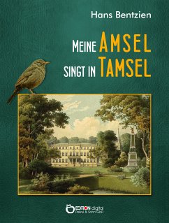 Meine Amsel singt in Tamsel (eBook, PDF) - Bentzien, Hans