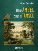 Meine Amsel singt in Tamsel (eBook, ePUB)