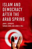 Islam and Democracy after the Arab Spring (eBook, PDF)