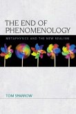 End of Phenomenology (eBook, PDF)