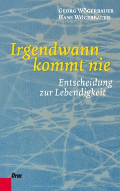 Irgendwann kommt nie (eBook, ePUB) - Wögerbauer, Georg; Wögerbauer, Hans