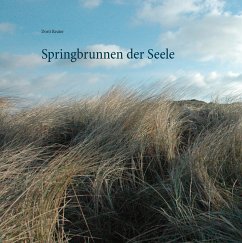 Springbrunnen der Seele (eBook, ePUB)