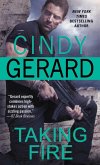 Taking Fire (eBook, ePUB)