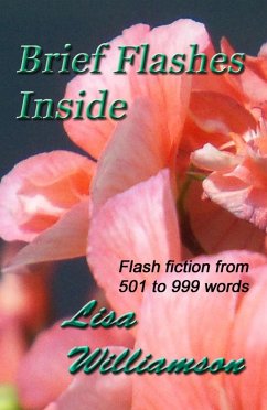 Brief Flashes Inside (eBook, ePUB) - Williamson, Lisa