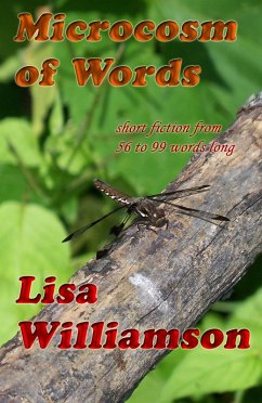 Cover A Microcosm of Words (eBook, ePUB)