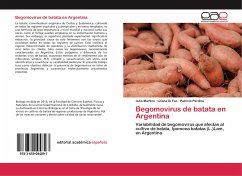 Begomovirus de batata en Argentina
