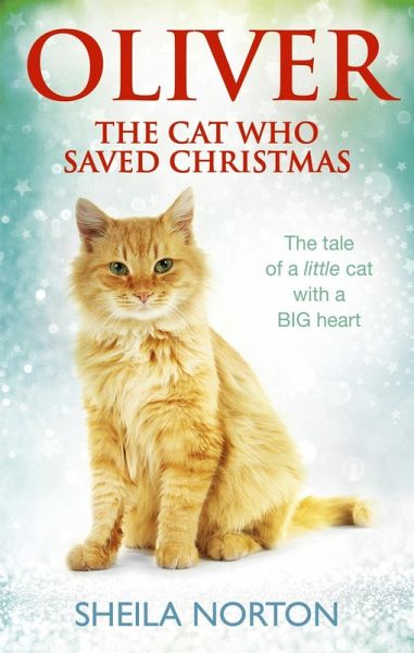 Oliver The Cat Who Saved Christmas (eBook, ePUB)