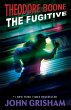 Theodore Boone - Bild 1